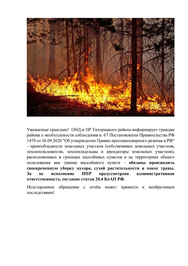 jvт 17.03.25