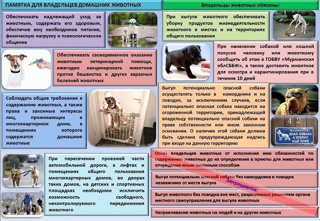 Памятка для владельцев домашних животных
