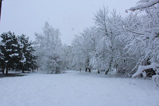 Станица во всей красе