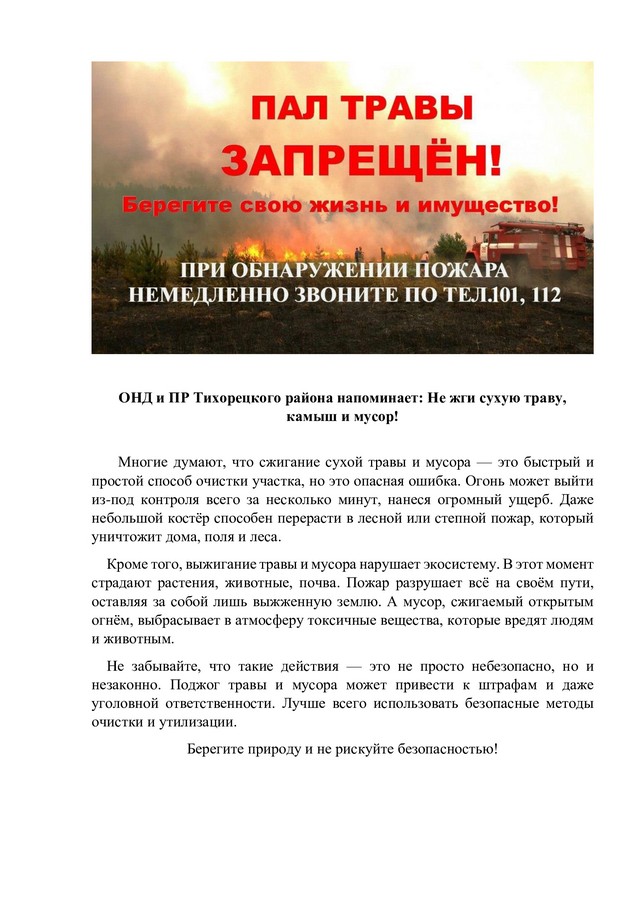 foto 2025 08 12 14 29 001