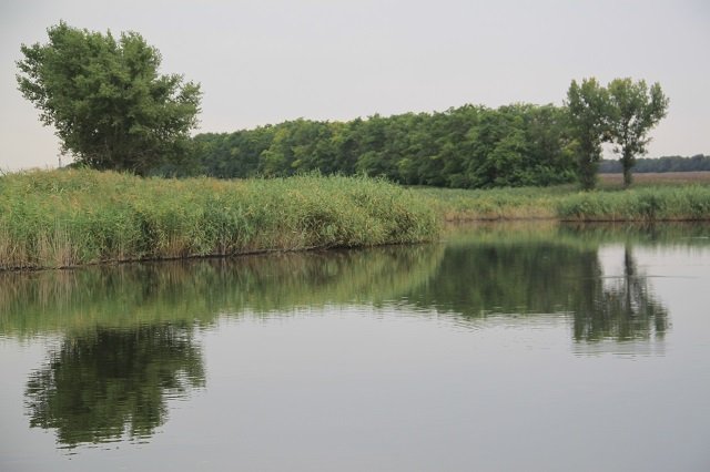 Станица во всей красе